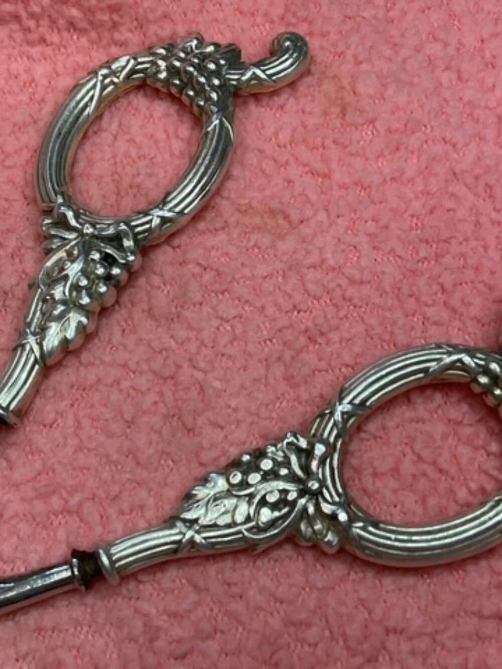 Victorian Grape Shears 7